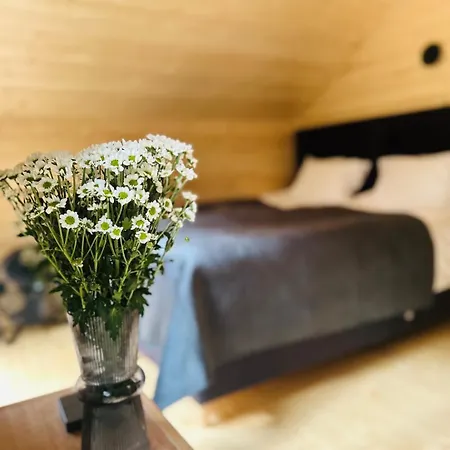 Lesna Cisza Jezioro Powidzkie Dla 18 Osob Z Jacuzzi Gratis - 5d * Lipnica (Slupca)