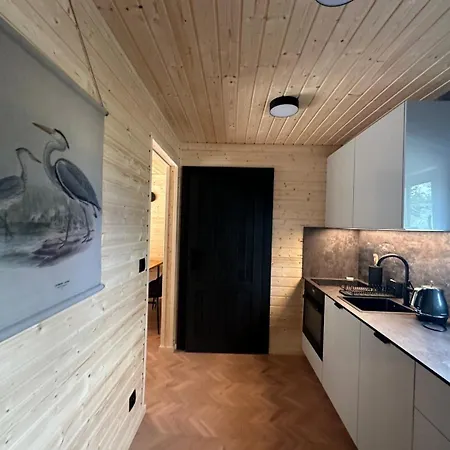 Lesna Cisza Jezioro Powidzkie Dla 18 Osob Z Jacuzzi Gratis - 5d *