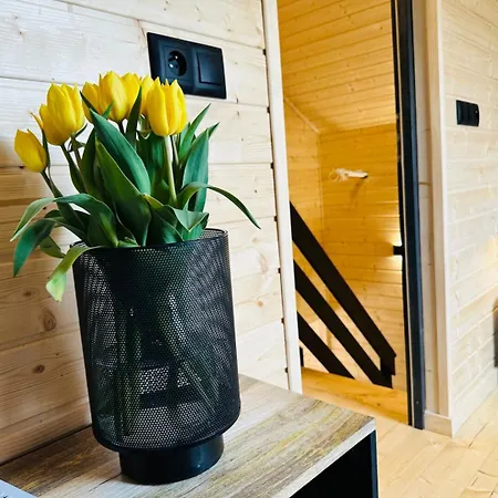 Leśna Cisza Jezioro Powidzkie Dla 18 Osób - 5d *